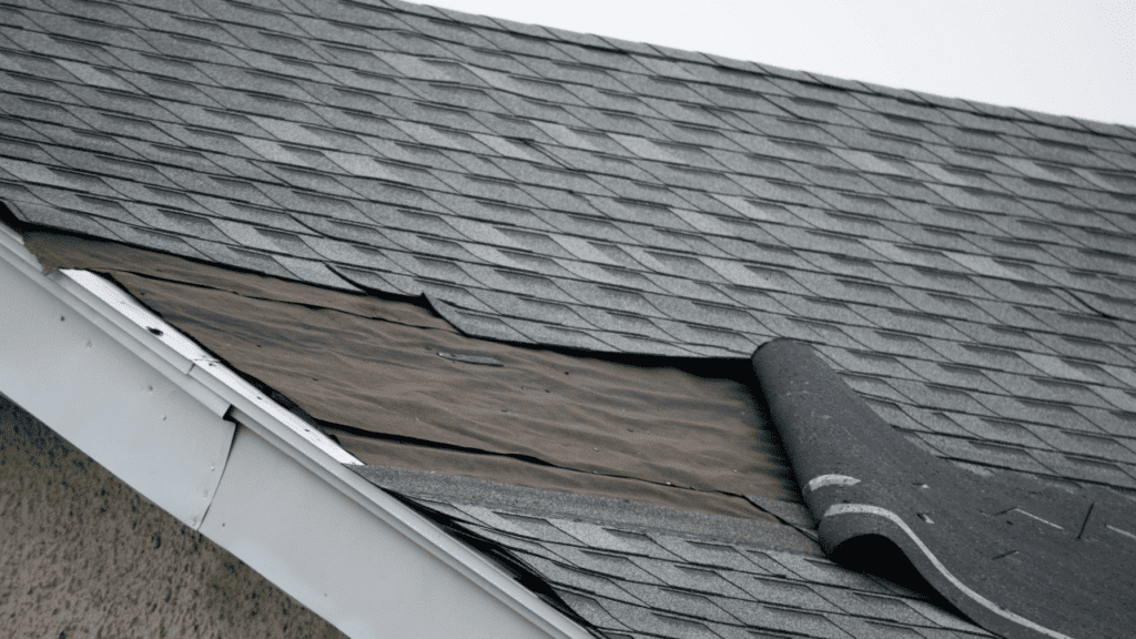 Damaged Shingles